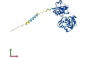 AlphaFold protein structure predicition of Human Recombinant FUT7 Protein, UniprotID Q11130