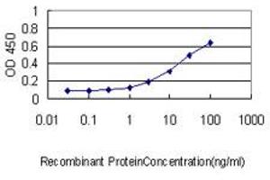 Detection limit for recombinant GST tagged CORO1B is approximately 0.