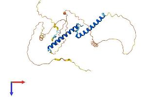 AlphaFold protein structure predicition of Mouse Recombinant Olig2 Protein, UniprotID Q9EQW6