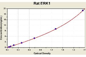 Diagramm of the ELISA kit to detect Rat ERK1with the optical density on the x-axis and the concentration on the y-axis.