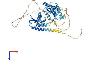 AlphaFold protein structure predicition of Mouse Recombinant Rragd Protein, UniprotID Q7TT45