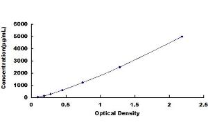 Typical standard curve (LYN Kit ELISA)