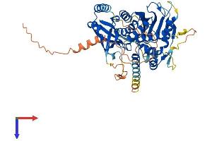 AlphaFold protein structure predicition of Human Recombinant LGSN Protein, UniprotID Q5TDP6