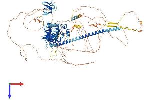 AlphaFold protein structure predicition of Human Recombinant MAP3K21 Protein, UniprotID Q5TCX8
