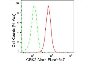 Flow cytometric analysis of GRK2 expression in HepG2 cells using GRK2 antibody (ABIN7797538), 1:2,000).