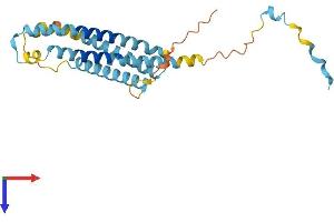 AlphaFold protein structure predicition of Human Recombinant LAPTM4A Protein, UniprotID Q15012