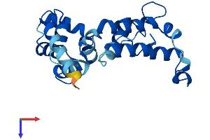 AlphaFold protein structure predicition of Human Recombinant CAPSL Protein, UniprotID Q8WWF8