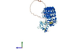 AlphaFold protein structure predicition of Human Recombinant LRRC74A Protein, UniprotID Q0VAA2
