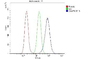Flow Cytometry analysis of A549 cells using anti-Ch TOG/CKAP5 antibody (ABIN7599106). (CKAP5 anticorps  (AA 1-221))