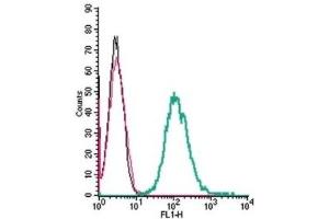 Cell surface detection of Neuropilin-1 by indirect flow cytometry in live intact mouse J774 macrophage cells:  (black line) Cells.