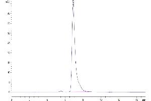The purity of Human SLAMF6 is greater than 95 % as determined by SEC-HPLC.