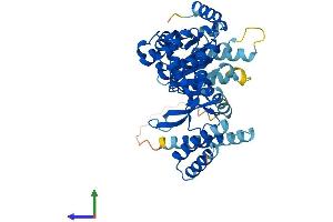 AlphaFold protein structure predicition of Human Recombinant VPS4A Protein, UniprotID Q9UN37
