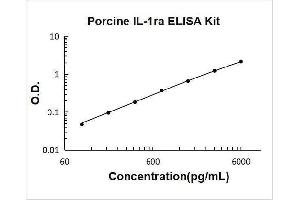 Typical Standard Curve