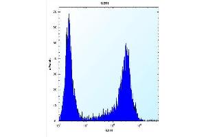 HES1 Antibody (N-term T24) (ABIN390222 and ABIN2840700) flow cytometric analysis of  cells (right histogram) compared to a negative control cell (left histogram).