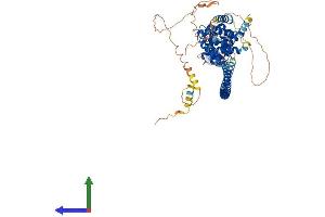 AlphaFold protein structure predicition of Mouse Recombinant Ccdc138 Protein, UniprotID Q0VF22