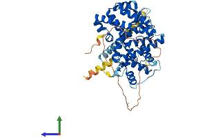 AlphaFold protein structure predicition of Human Recombinant RORB Protein, UniprotID Q92753