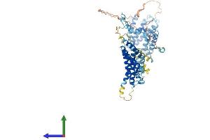 AlphaFold protein structure predicition of Mouse Recombinant Srp68 Protein, UniprotID Q8BMA6