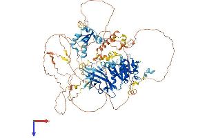 AlphaFold protein structure predicition of Human Recombinant LPIN2 Protein, UniprotID Q92539