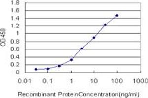 Detection limit for recombinant GST tagged KRT4 is approximately 0. (KRT4 anticorps  (AA 194-300))