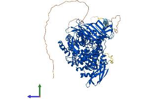 AlphaFold protein structure predicition of Human Recombinant LNPEP Protein, UniprotID Q9UIQ6