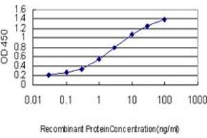 Detection limit for recombinant GST tagged RAB33B is approximately 0.