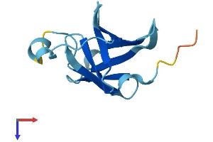 AlphaFold protein structure predicition of Mouse Recombinant Mtcp1 Protein, UniprotID Q60945