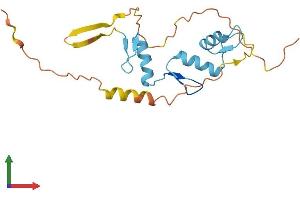 AlphaFold protein structure predicition of Human Recombinant ZNF740 Protein, UniprotID Q8NDX6