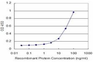 Detection limit for recombinant GST tagged BRAF is approximately 3ng/ml as a capture antibody.