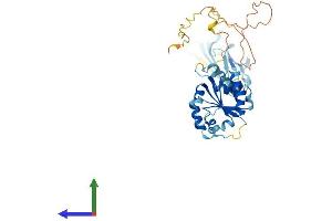AlphaFold protein structure predicition of Human Recombinant SIGIRR Protein, UniprotID Q6IA17