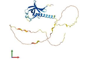 AlphaFold protein structure predicition of Human Recombinant NECAP2 Protein, UniprotID Q9NVZ3