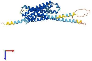 AlphaFold protein structure predicition of Mouse Recombinant Htr1f Protein, UniprotID Q02284