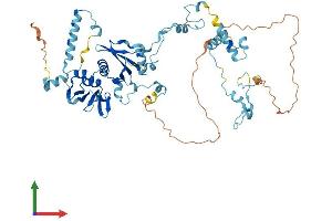 AlphaFold protein structure predicition of Human Recombinant TSEN54 Protein, UniprotID Q7Z6J9