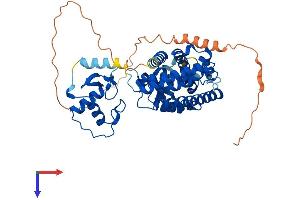 AlphaFold protein structure predicition of Human Recombinant PPARA Protein, UniprotID Q07869