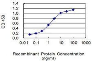 anti-Nanos Homolog 1 (NANOS1) (AA 206-270) antibody