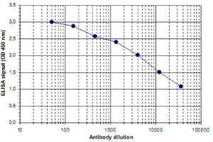 ELISA was performed using a serial dilution of CCDC101 polyclonal antibody . (SGF29 anticorps)