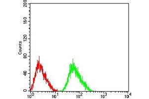 Flow cytometric analysis of SK-N-SH cells using CHRNA5 mouse mAb (green) and negative control (red).