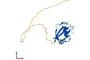 AlphaFold protein structure predicition of Mouse Recombinant Atg12 Protein, UniprotID Q9CQY1