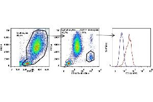 Surface staining of human peripheral blood using anti-human CD163 (clone