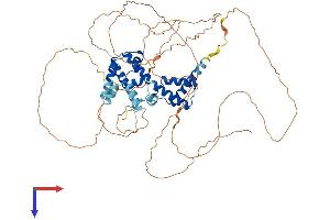 AlphaFold protein structure predicition of Mouse Recombinant Hnf1a Protein, UniprotID P22361