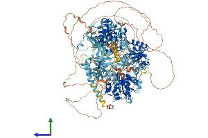 AlphaFold protein structure predicition of Mouse Recombinant Sbno1 Protein, UniprotID Q689Z5