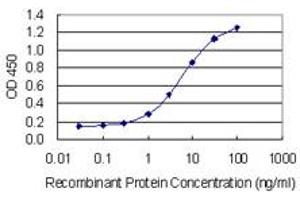 Detection limit for recombinant GST tagged ALYREF is 0. (THO Complex 4 anticorps  (AA 106-193))