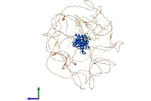 AlphaFold protein structure predicition of Human Recombinant IRS1 Protein, UniprotID P35568