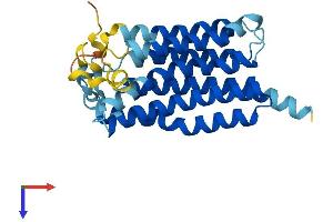 AlphaFold protein structure predicition of Human Recombinant MMD2 Protein, UniprotID Q8IY49