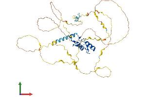 AlphaFold protein structure predicition of Human Recombinant ZNF207 Protein, UniprotID O43670