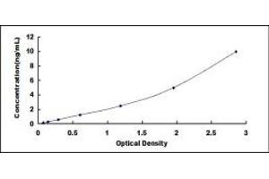Typical standard curve (IL1R2 Kit ELISA)