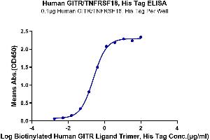 Immobilized Human GITR, His Tag at 1 μg/mL (100 μL/Well).