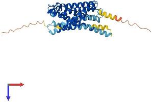 Purinergic Receptor P2Y, G-Protein Coupled, 13 (P2RY13) (AA 1-337) protein (His tag)