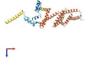 AlphaFold protein structure predicition of Human Recombinant ZNF781 Protein, UniprotID Q8N8C0