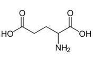 Image no. 1 for Glutamic Acid peptide (Ovalbumin) (ABIN5666204) (Glutamic Acid peptide (Ovalbumin))