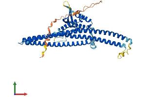 AlphaFold protein structure predicition of Mouse Recombinant Snx4 Protein, UniprotID Q91YJ2